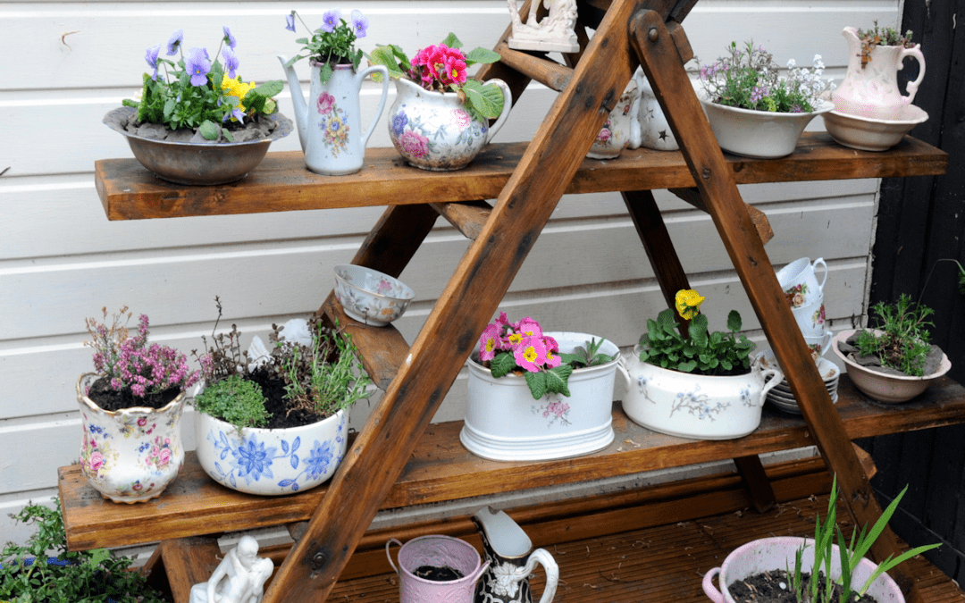 About Container gardening