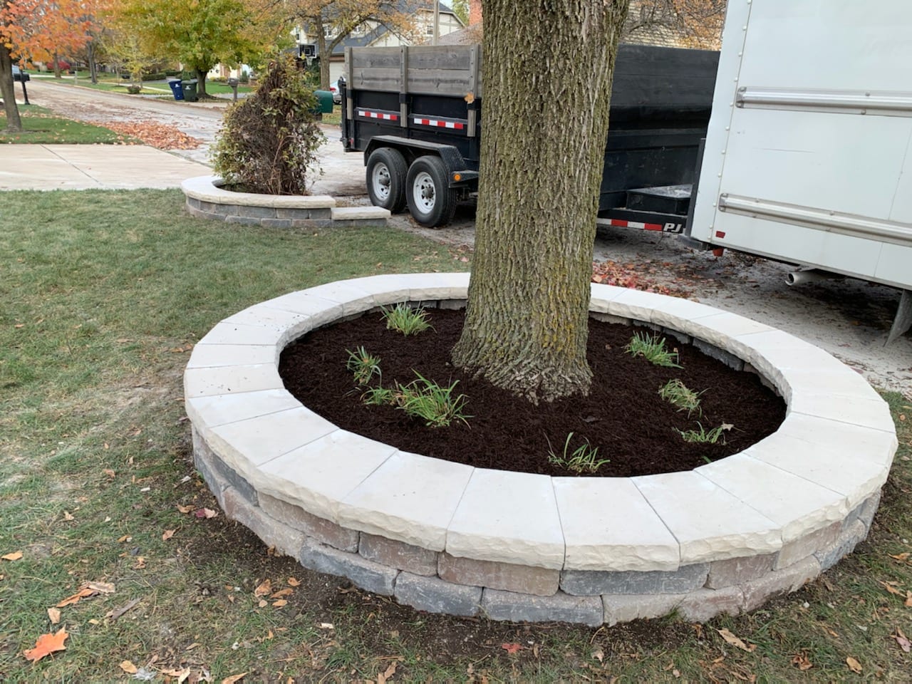 tree with paver circle aztech 05 17 21